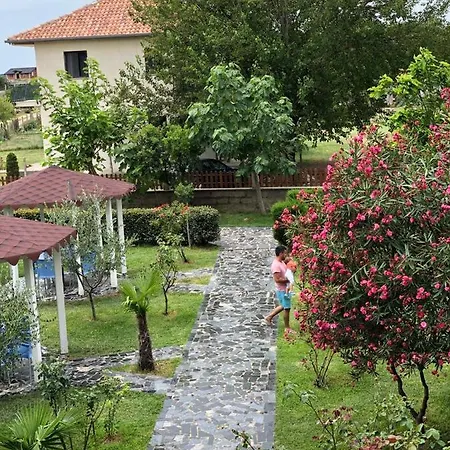 Viluni Shkoder
