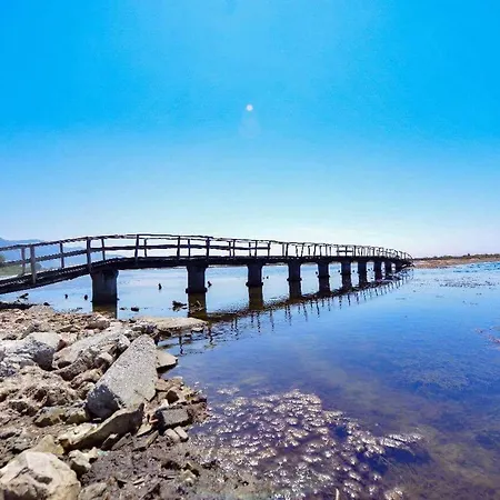 Viluni * Shkoder