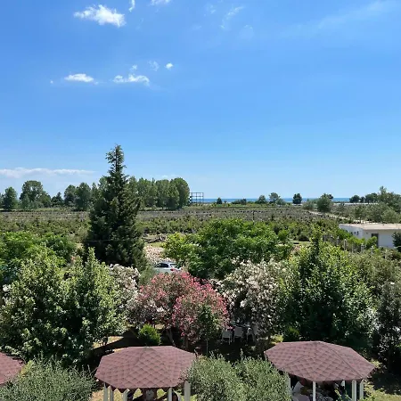 Viluni * Shkoder